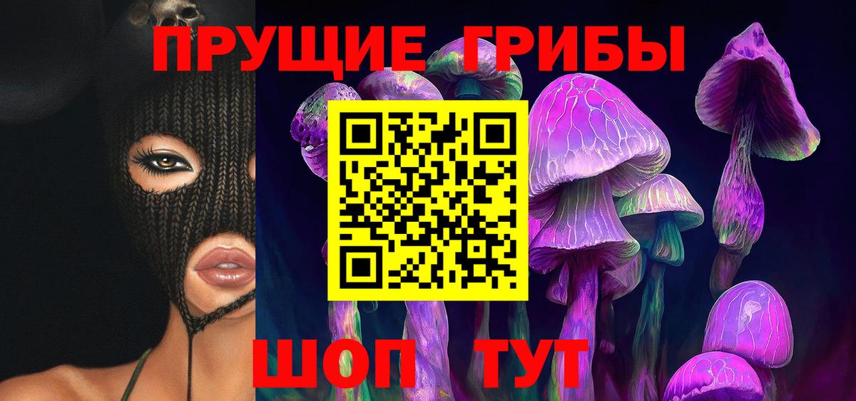 Кемерово  Псилоцибиновые грибы Cubensis  Вход с VPN  Псилоцибиновые грибы GOLDEN TEACHER 